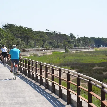 Appartamento Appartamenti Villa Verde *