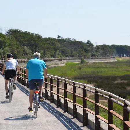 Appartamenti Villa Verde * 비비오네